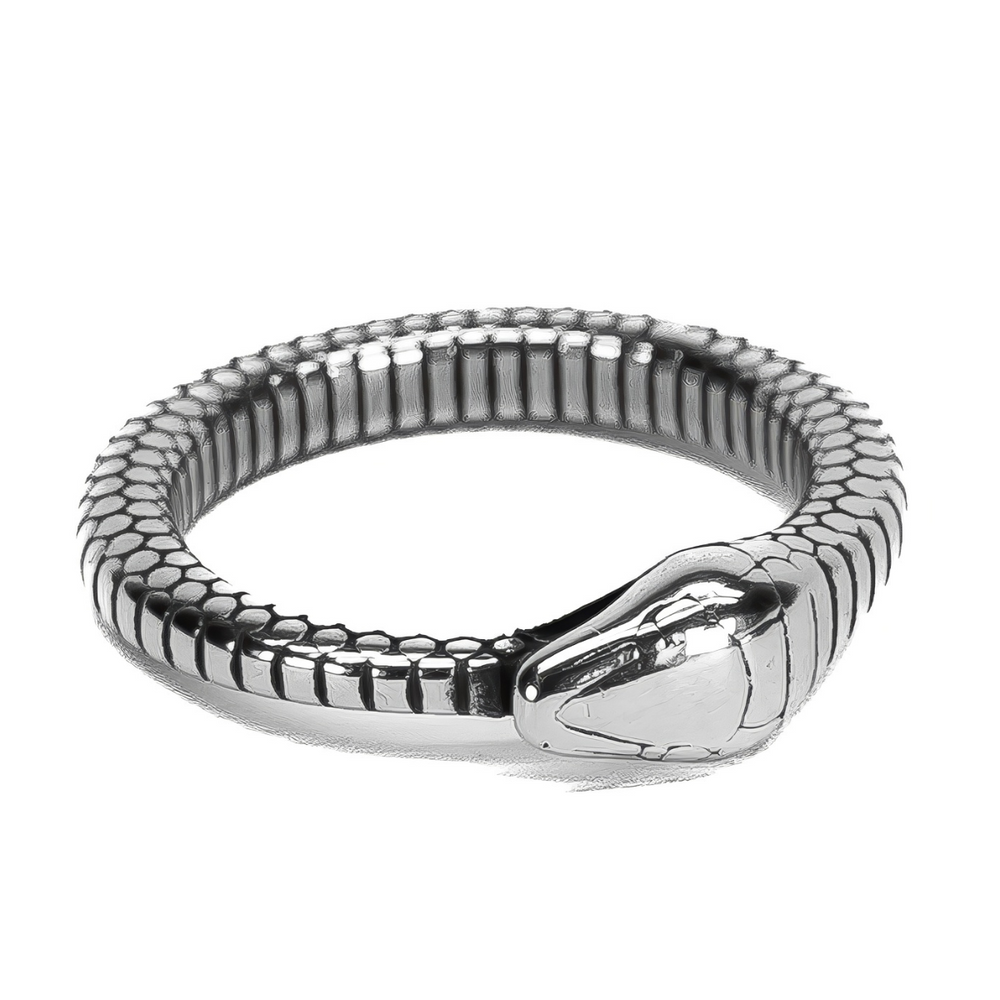 Anillo Boa